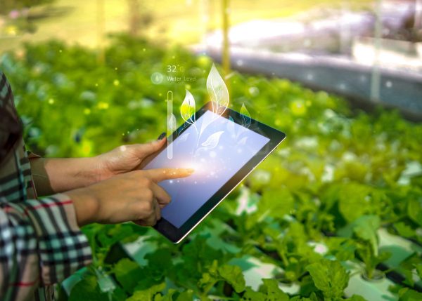 سیستم مانیتورینگ گلخانه