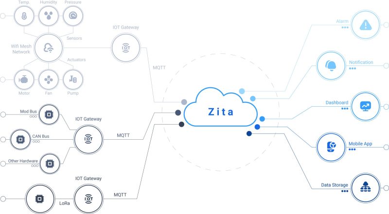 Zita scaled e1777287456347