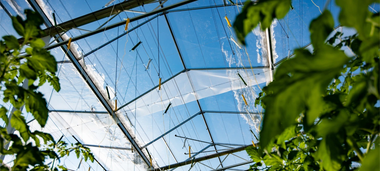 AzarEsys smart greenhouse