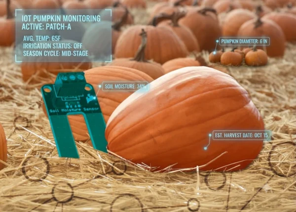 Iot greenhouse pumpkins 600x429